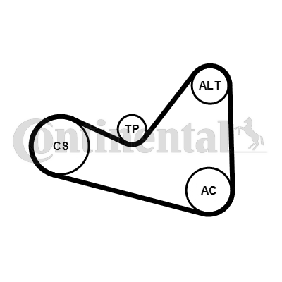 Set curea transmisie cu caneluri 6PK1050K3 CONTINENTAL CTAM