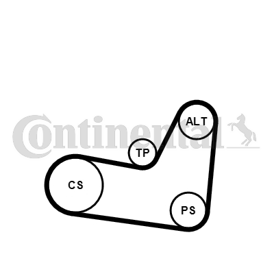 Set curea transmisie cu caneluri 6PK1070K2 CONTINENTAL CTAM