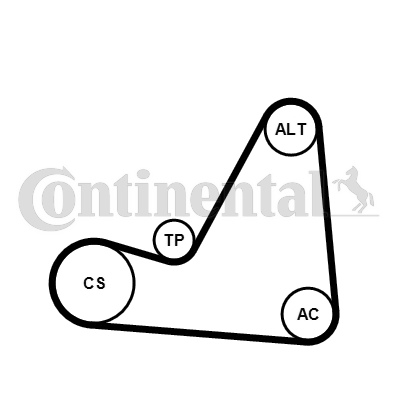 Set curea transmisie cu caneluri 6PK1070K3 CONTINENTAL CTAM