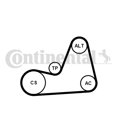 Set curea transmisie cu caneluri 6PK1100K1 CONTINENTAL CTAM