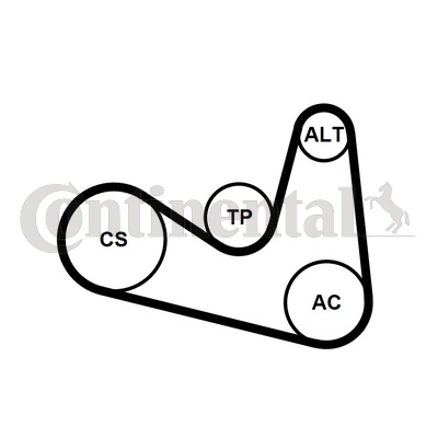 Set curea transmisie cu caneluri 6PK1180K2 CONTINENTAL CTAM