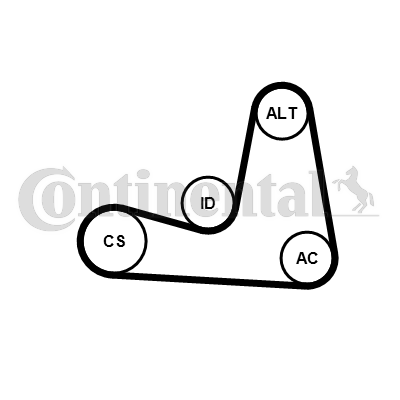 Set curea transmisie cu caneluri 6PK1200K3 CONTINENTAL CTAM