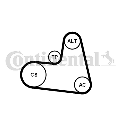 Set curea transmisie cu caneluri 6PK1217K1 CONTINENTAL CTAM