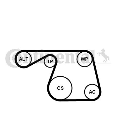 Set curea transmisie cu caneluri 6PK1310K1 CONTINENTAL CTAM