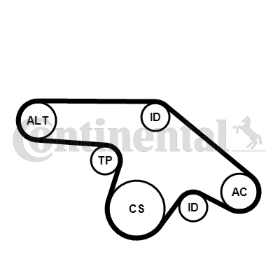 Set curea transmisie cu caneluri 6PK1370K1 CONTINENTAL CTAM