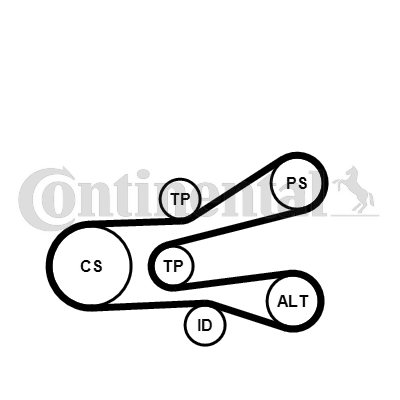 Set curea transmisie cu caneluri 6PK1440K1 CONTINENTAL CTAM