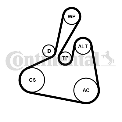 Set curea transmisie cu caneluri 6PK1502 EXTRA K1 CONTINENTAL CTAM