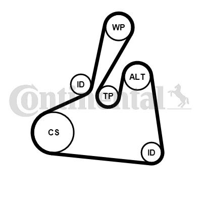 Set curea transmisie cu caneluri 6PK1502 EXTRA K2 CONTINENTAL CTAM