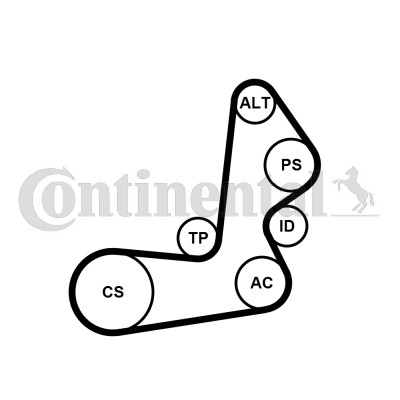 Set curea transmisie cu caneluri 6PK1515K1 CONTINENTAL CTAM