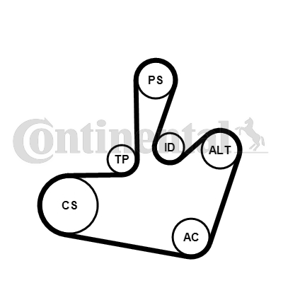 Set curea transmisie cu caneluri 6PK1548K1 CONTINENTAL CTAM