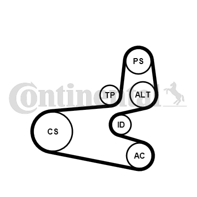 Set curea transmisie cu caneluri 6PK1560K1 CONTINENTAL CTAM