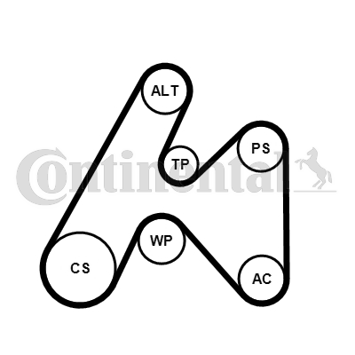 Set curea transmisie cu caneluri 6PK1660K3 CONTINENTAL CTAM