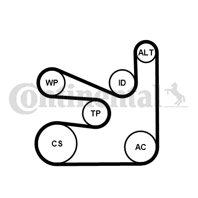 Set curea transmisie cu caneluri 6PK1660K5 CONTINENTAL CTAM