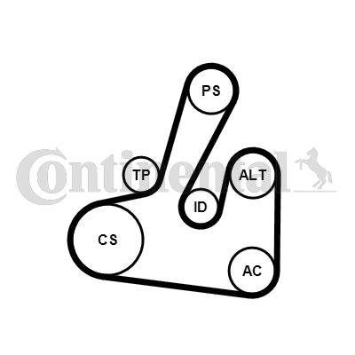 Set curea transmisie cu caneluri 6PK1705K2 CONTINENTAL CTAM