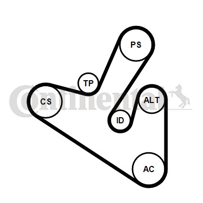 Set curea transmisie cu caneluri 6PK1710K1 CONTINENTAL CTAM
