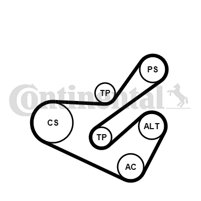 Set curea transmisie cu caneluri 6PK1740K1 CONTINENTAL CTAM