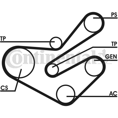 Set curea transmisie cu caneluri 6PK1750D2 CONTINENTAL CTAM