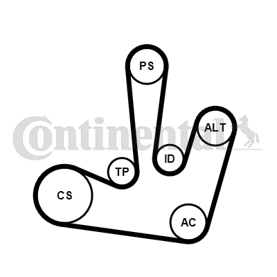 Set curea transmisie cu caneluri 6PK1795K1 CONTINENTAL CTAM