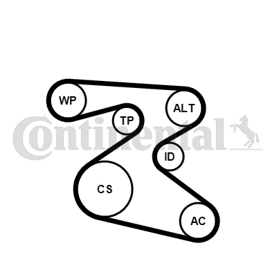 Set curea transmisie cu caneluri 6PK1873K1 CONTINENTAL CTAM