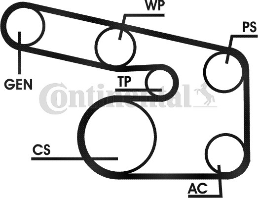 Set curea transmisie cu caneluri 6PK1900D1 CONTINENTAL CTAM