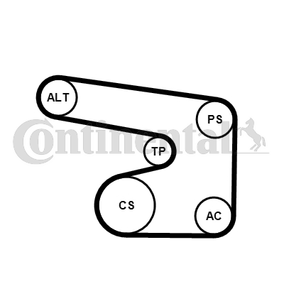 Set curea transmisie cu caneluri 6PK1900K1 CONTINENTAL CTAM