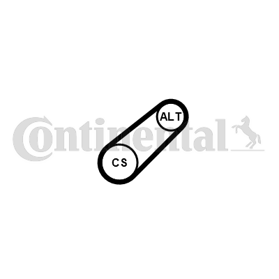 Set curea transmisie cu caneluri 6PK701 ELAST T1 CONTINENTAL CTAM