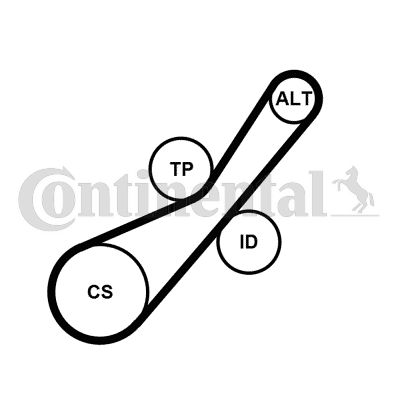 Set curea transmisie cu caneluri 6PK800K2 CONTINENTAL CTAM