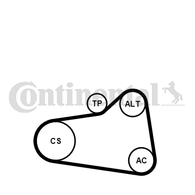 Set curea transmisie cu caneluri 6PK905 EXTRA K1 CONTINENTAL CTAM