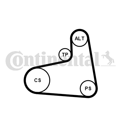 Set curea transmisie cu caneluri 6PK906K3 CONTINENTAL CTAM