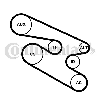 Set curea transmisie cu caneluri 7PK1104K1 CONTINENTAL CTAM