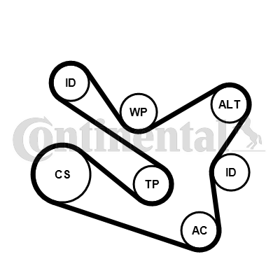 Set curea transmisie cu caneluri 7PK1570K1 CONTINENTAL CTAM