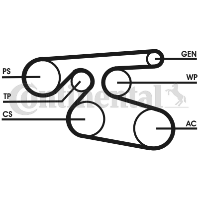 Curea transmisie cu caneluri 7PK2000 CONTINENTAL CTAM