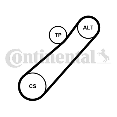 Set curea transmisie cu caneluri 7PK880K1 CONTINENTAL CTAM