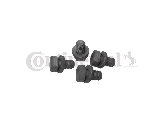 Set surub, disc curea-arbore cotit MS31 CONTINENTAL CTAM