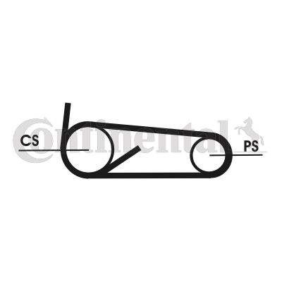 Set curea transmisie cu caneluri 4PK922 ELAST T1 CONTINENTAL CTAM