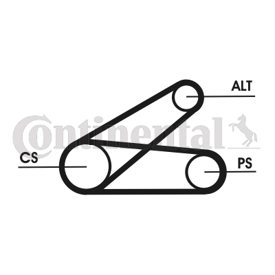 Set curea transmisie cu caneluri 6PK873 ELAST T1 CONTINENTAL CTAM