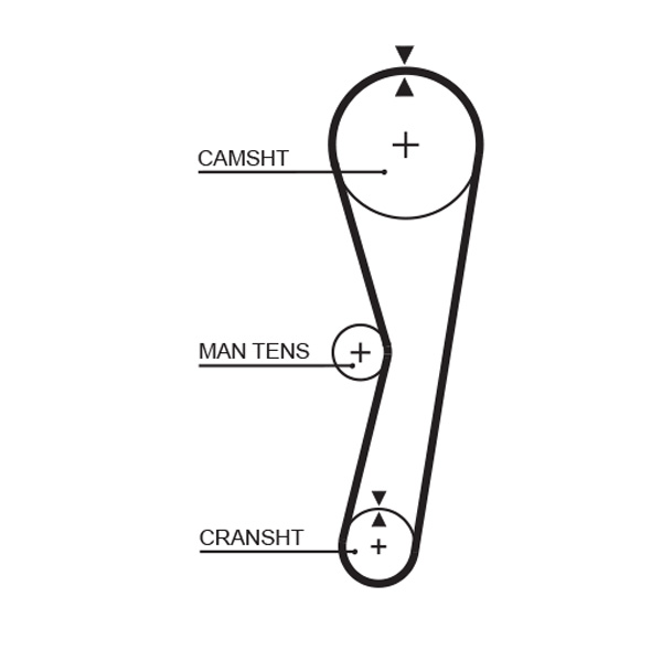 Curea de distributie 5024 GATES