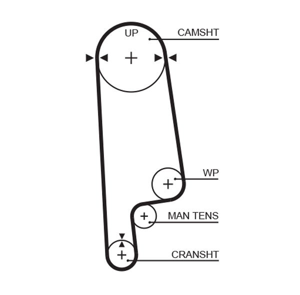 Curea de distributie 5236XS GATES