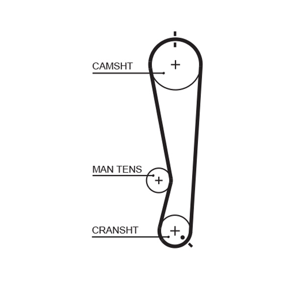 Curea de distributie 5591XS GATES