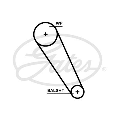 Curea de distributie 5698XS GATES