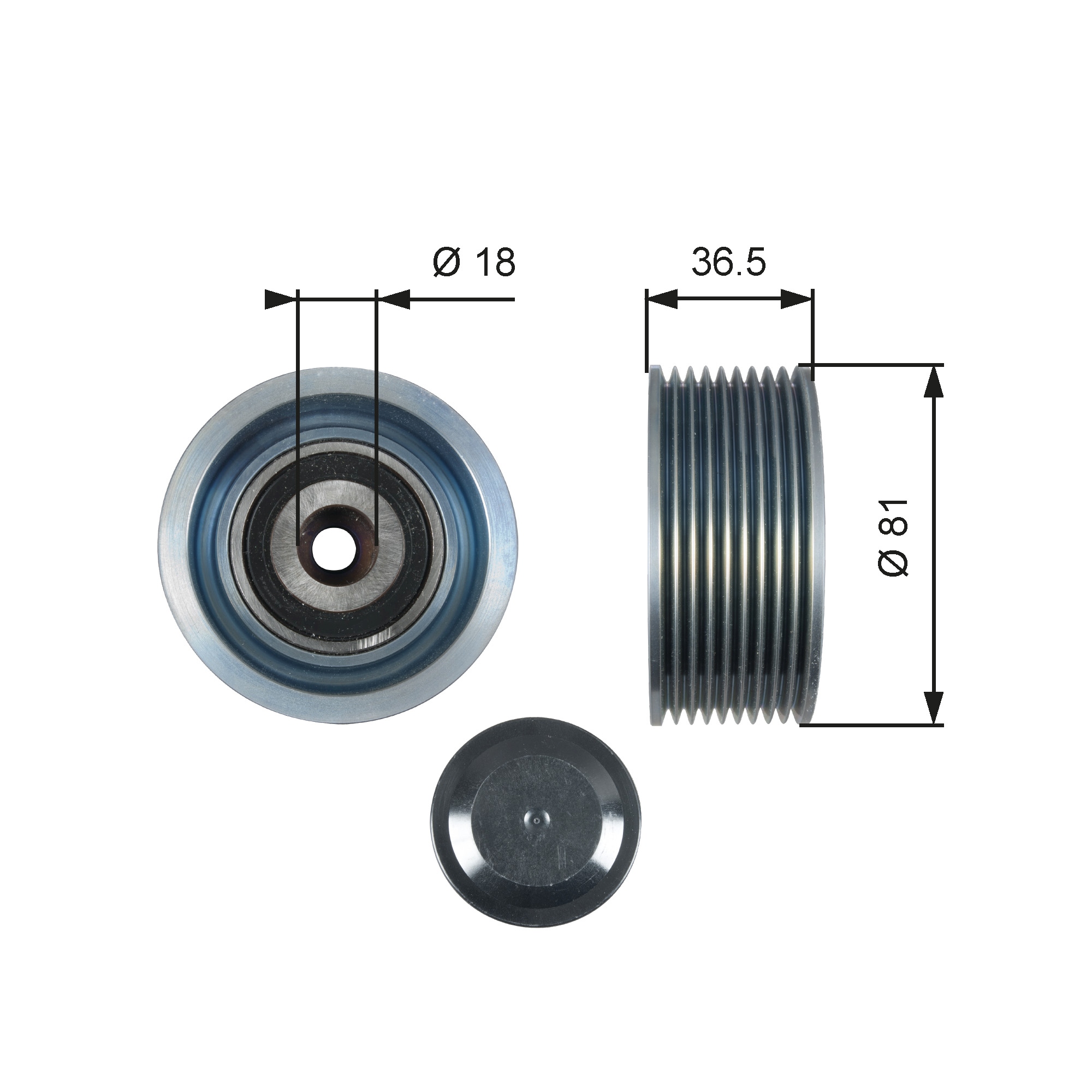Rola ghidare/conducere, curea transmisie T36508 GATES