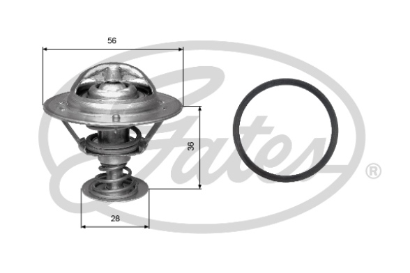 Termostat,lichid racire TH31482G1 GATES