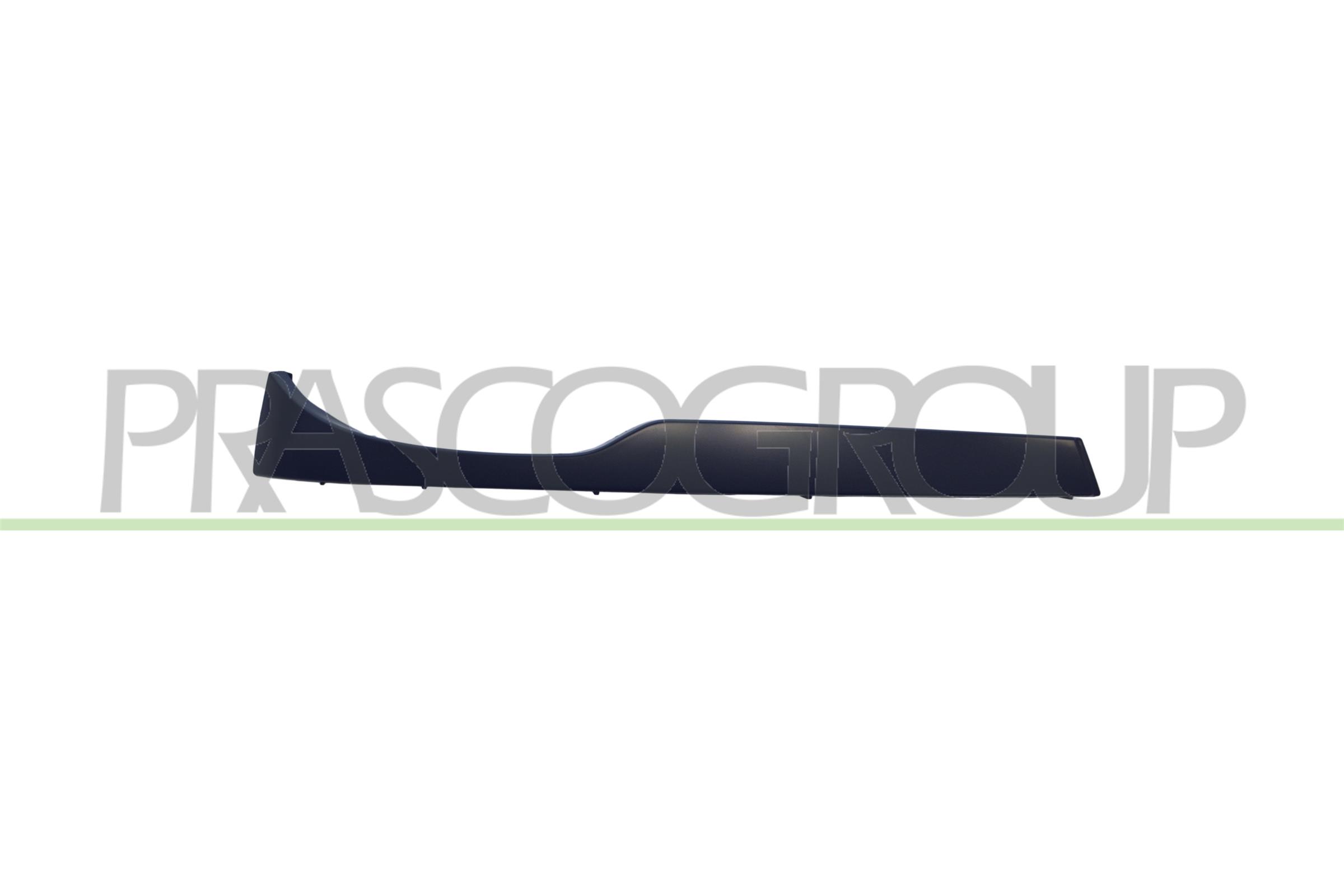 Acoperire faruri BM0222103 PRASCO