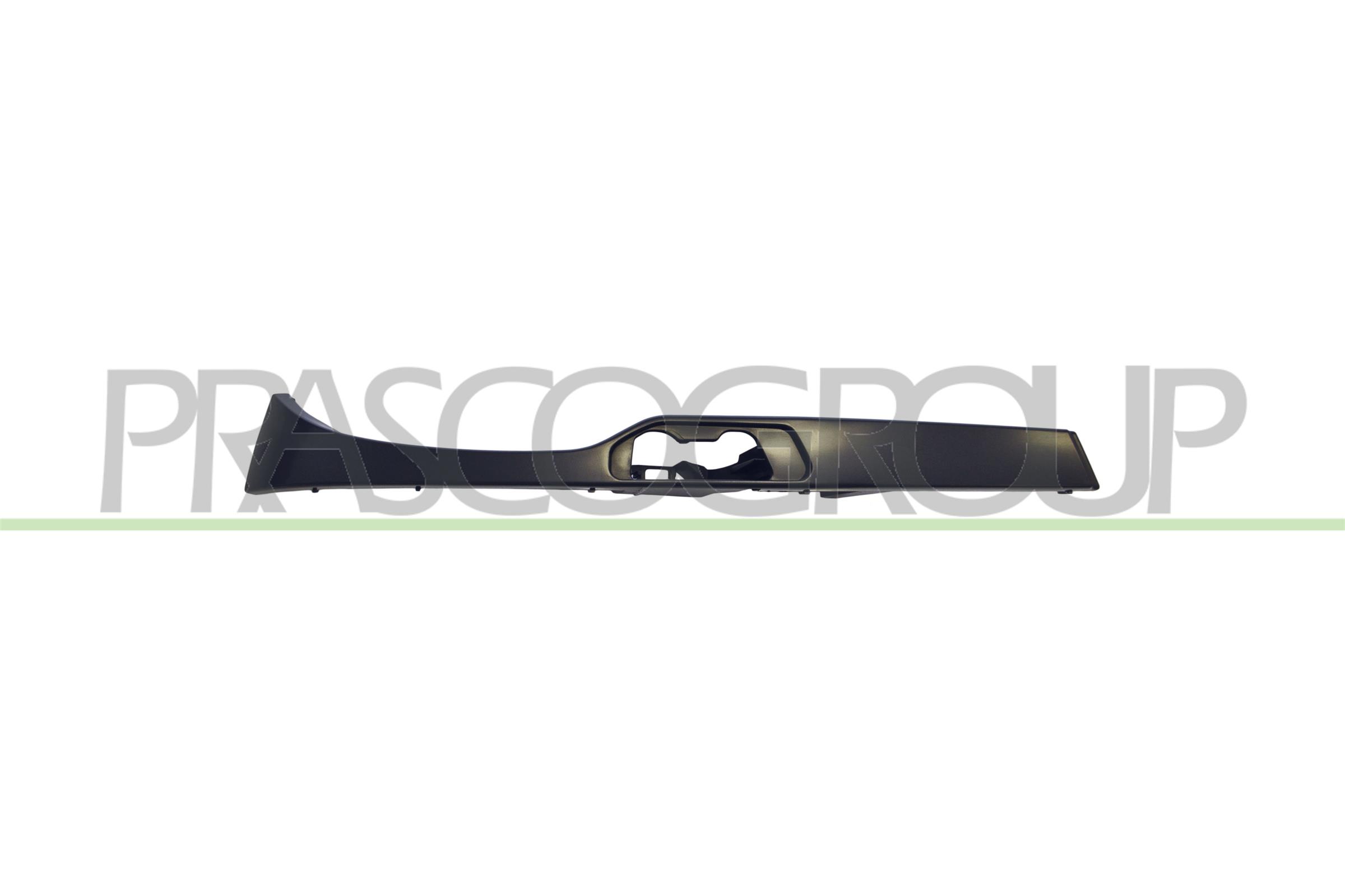 Acoperire faruri BM0222113 PRASCO