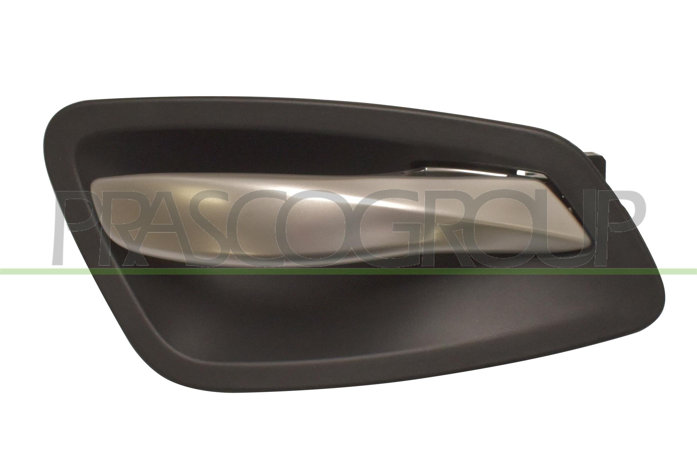 Maner usa, echipare interioara BM0248402 PRASCO