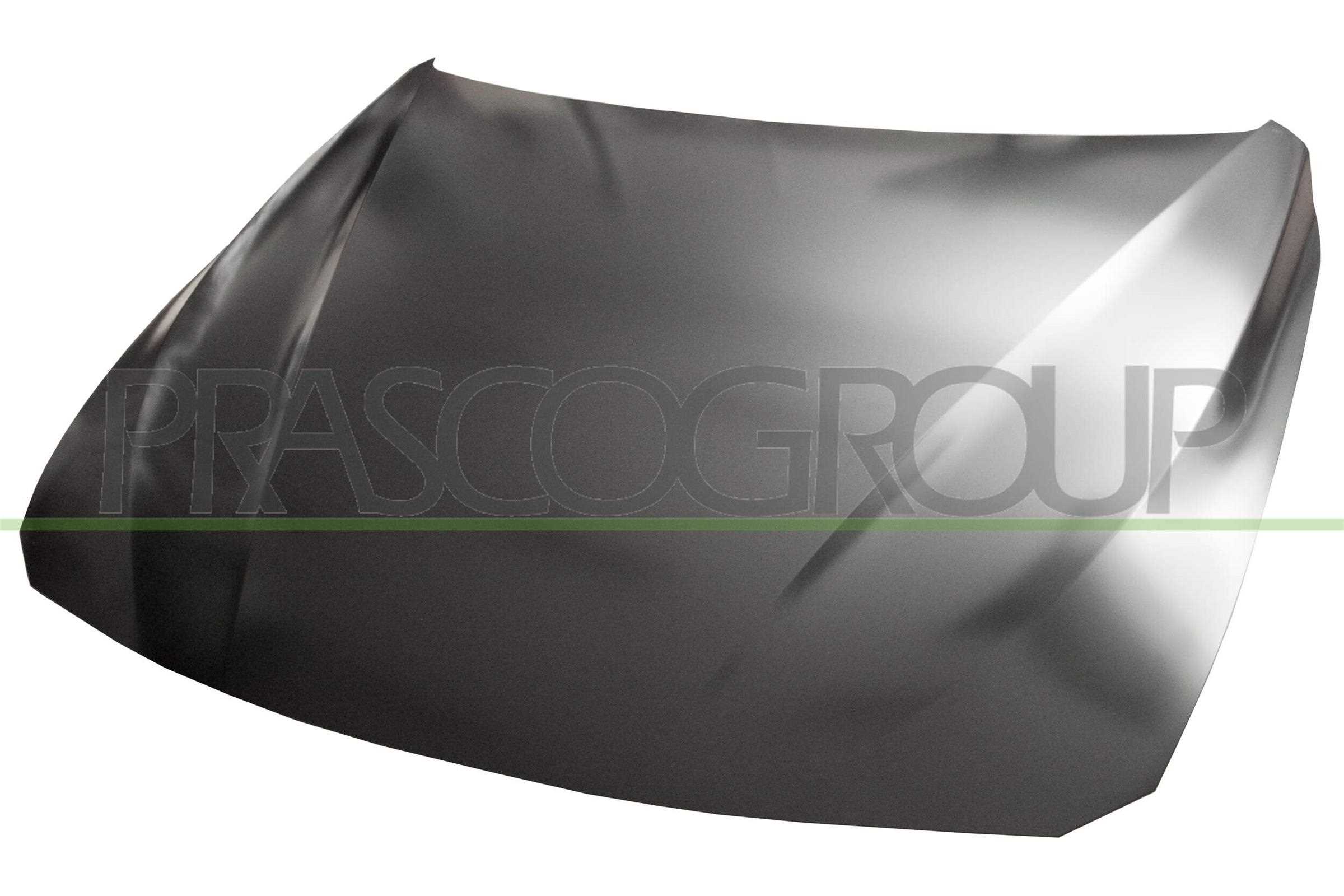 Capota motor BM0283130 PRASCO