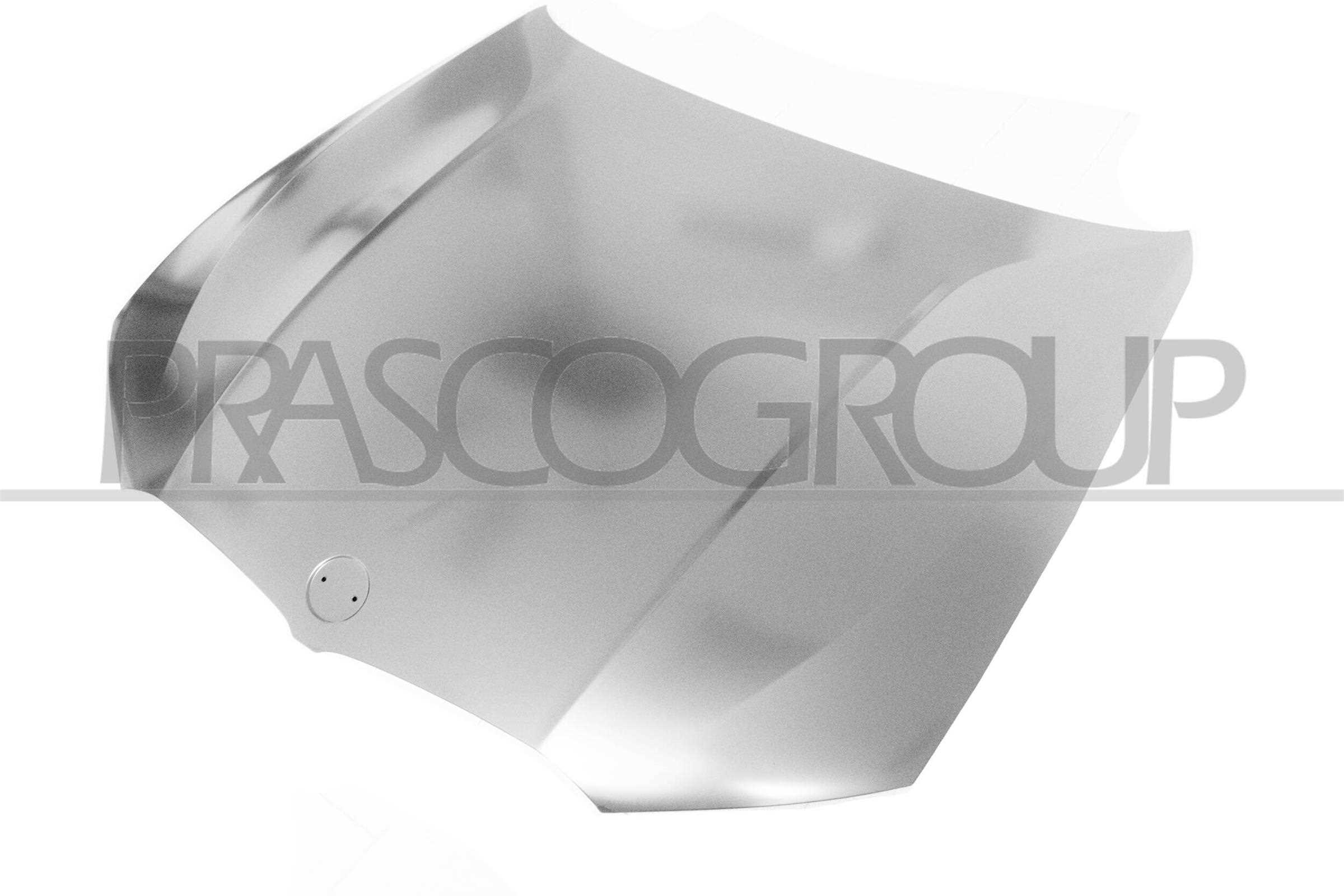 Capota motor BM0343100 PRASCO
