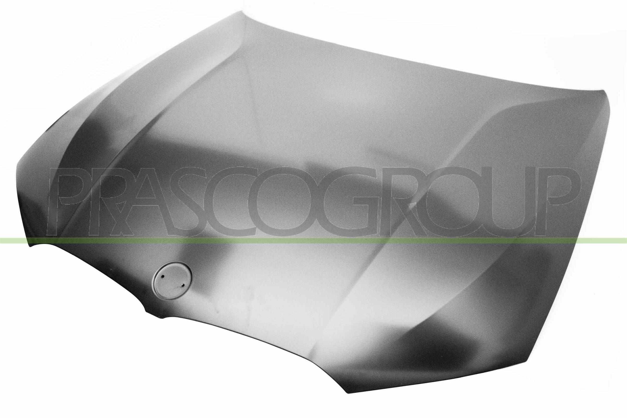 Capota motor BM0343110 PRASCO