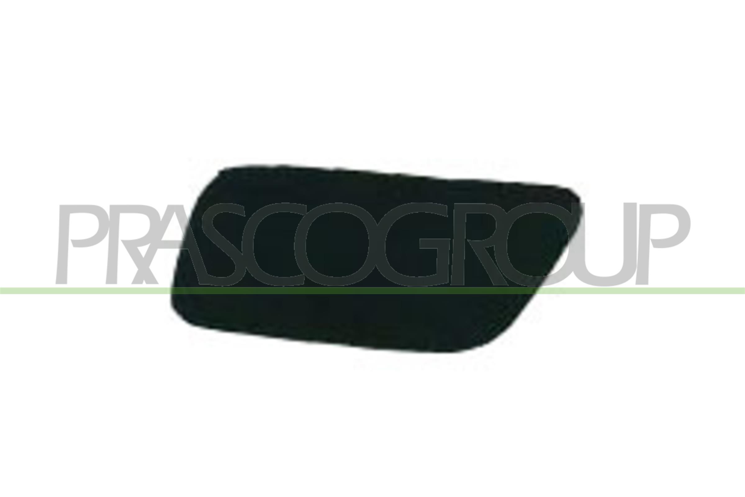 Acoperire, bara protectie BM0461237 PRASCO