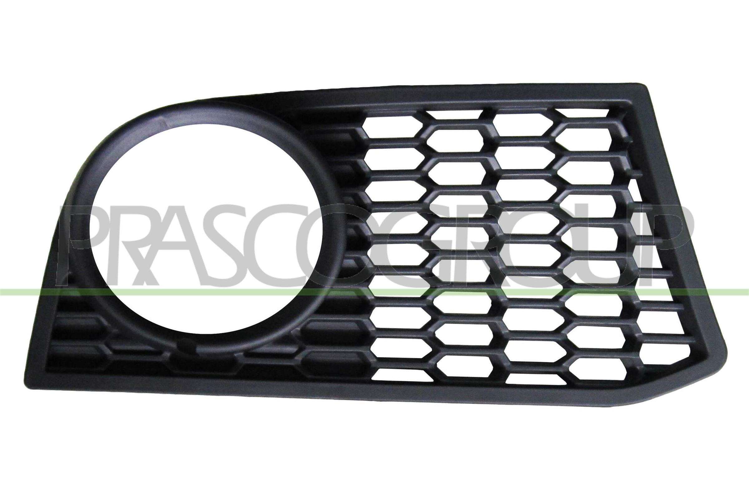 Acoperire, faruri ceata BM0492123 PRASCO